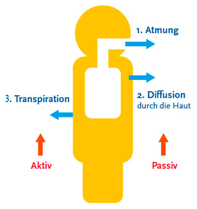 Wasserdampfabgabe